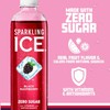 Sparkling Ice,Black Raspberry Sparkling Water,Zero Sugar Flavored Water,12 pack