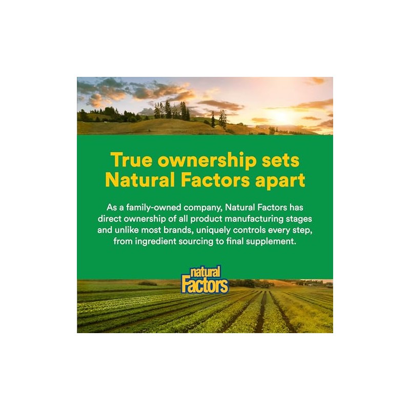 Natural Factors Multi Enzyme High Potency – 60 Cápsulas Vegetarianas