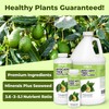 Avocado Tree Fertilizer, Complete Liquid Avocado Plant Food, 32 oz