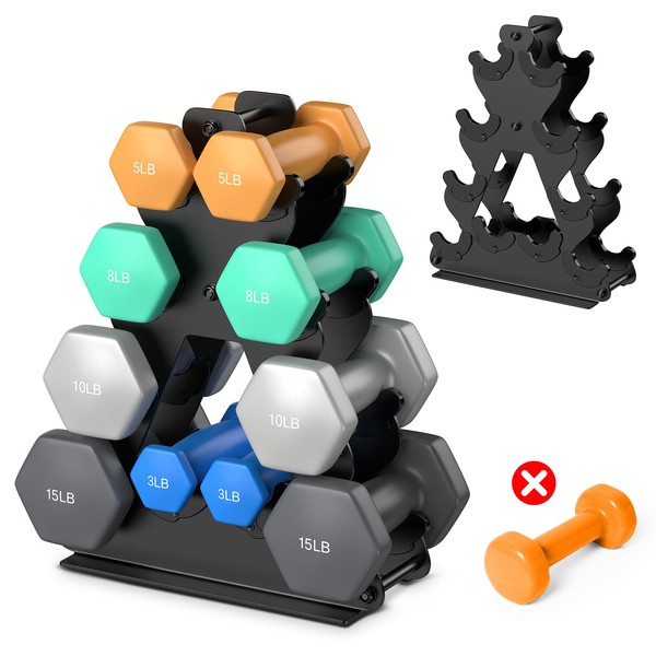 4-Tier Dumbbell Rack Stand Only | Space-Saving Weight Rack for