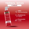 Biometik Kit Anticaida Shampoo + Acondiconador + Tónico