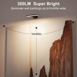 LED Picture Lights Set of 2 with 6000mAH Rechargeable Battery Powered, CRI≥95 Cordless Over Painting Lamps with 5 Brightness&Stepless Dimming,3 Color Temp,Indoor Display Lights for Art Photo Dartboard