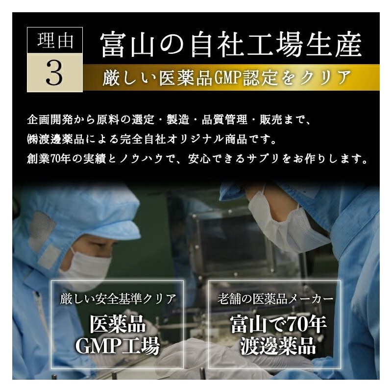 渡邊薬品 超微粉純末 天然メシマコブ 純末100% 30g (1)
