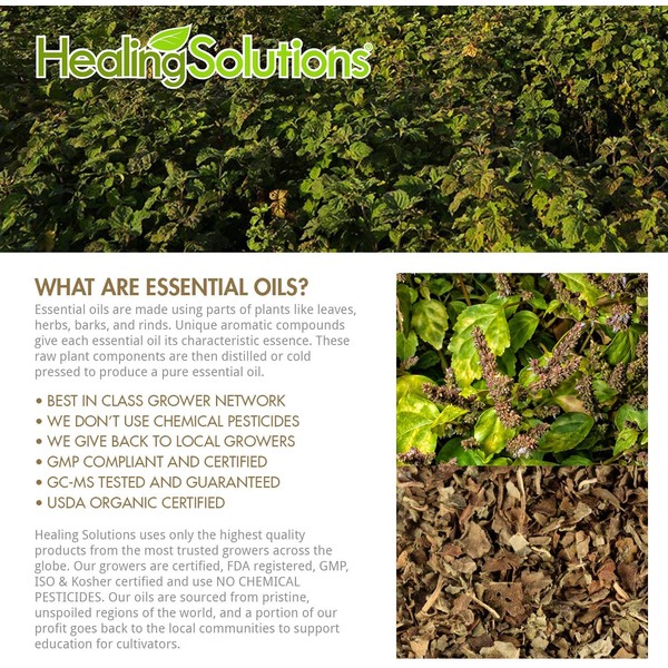 Patchouli Essential Oil - 100% Pure Therapeutic Grade Patchouli Oil