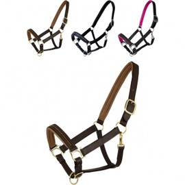 Marengos - Diamond Leather Headcollar | Halter for Horses | Horse Halter with Colour-Lined Noseband & Headpiece | Elegant Leather Halter | Horse Accessories in Brown/Gold | Warmblood