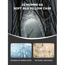 Mulberry Silk Pillowcase for Hair and Skin, SGMSILK 22 Momme Natural Silk Pillow Cases with Zipper, 6A Soft and Smooth Single Sided Pure Silk Pillow Cover (Black, Queen 20"x30")