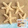 YGDZ Starfish Hair Clip, 4PCS Starfish Hair Clips Mermaid Accessories,