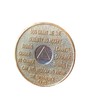 2 Year AA Medallion Gold How Bi-Plate Sobriety Chip
