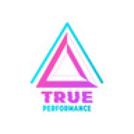 Creatina Monohidratada Micronizada True Performance 500g                                                                                              