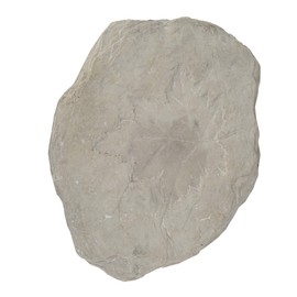 Benjara Concrete Fossil Accent Stone with Maple Leaf Imprint, White, Gray