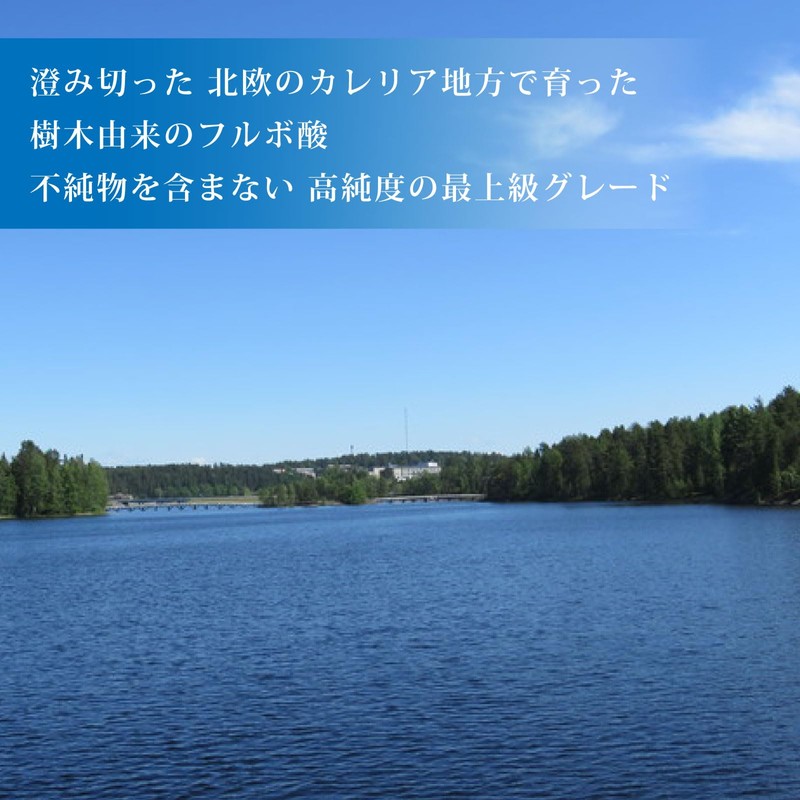 【魂の商材屋】高純度の最上品質 - フルボ酸 太古の泉30ml 原液 不純物のない樹木由来 黒茶褐色 栄養素吸収サポート 有害金属排出 バオバブエキストラ