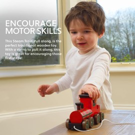 Steam Train Pull Along Toy - Wooden Push and Pull Along Toy Cars & Vehicles - 1st Birthday Gifts for Baby Boys and Girls, 1 Year Olds, Toddler - Early Development & Activity Toys by Orange Tree Toys