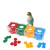 Parrot Color Separation Coin Box Educational Bird Treasure Desktop Interactive