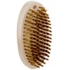 Takagi Brass Brush Oval 2.3 x 4.8 x 1.3 inches (58 x 123 x 33 mm) 4907052228856