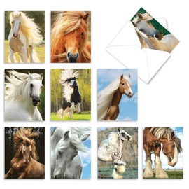The Best Card Company - 10 Adorable Note Cards Blank (4 x 5.12 Inch) - Wildlife and Animal Cards, Assorted Boxed Kids Set - Magnificent Manes M4601OCB-B1x10