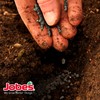 Jobe’s Organics Granular Garden Fertilizer, Easy Plant Care Fertilizer for