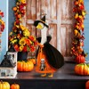 3Pcs Halloween Porch Goose Outfit Pumpkin Dress Witch Cape Hat