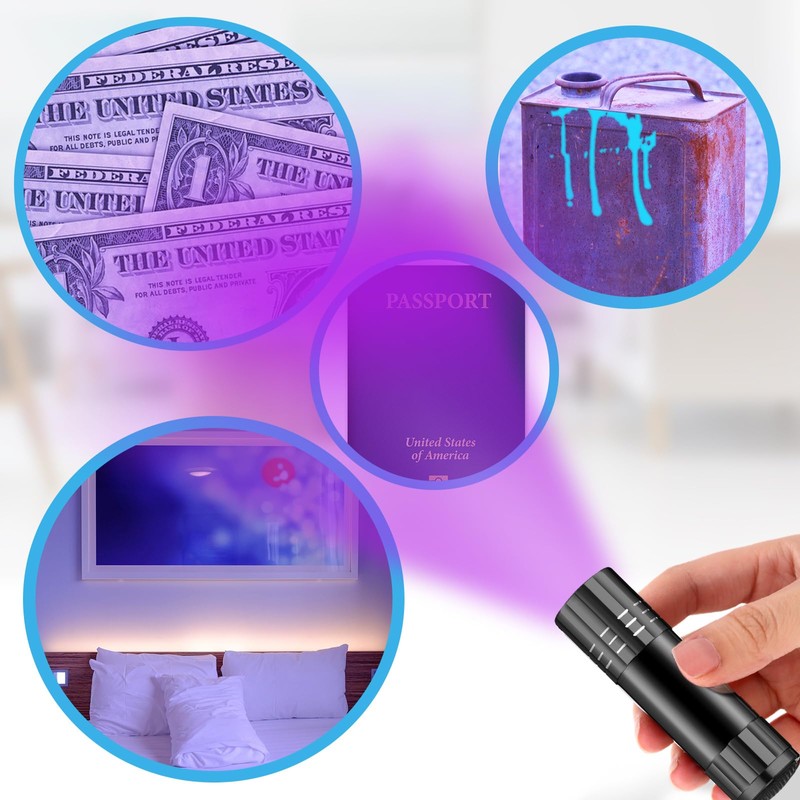 Riakrum 12 Pcs UV Blacklight Flashlights LED Handheld Mini Light