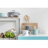 Riess, 0044-109 Egg Pan 20 cm Special Edition Nnature Green,