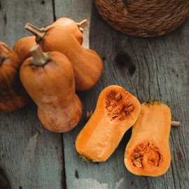 Honeynut Squash - 25 Seeds - Mini Butternut Squash Variety, Non-GMO, Heirloom Baby Butternut Squash Seeds for Planting in The Home Garden, Thresh Seed Company