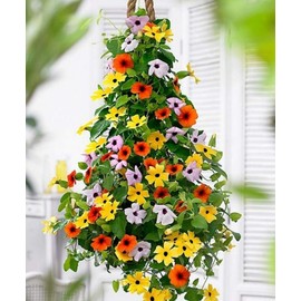25 Heirloom Flower Seed Packets for Planting: 20+ Varieties Flower Seeds - Forget Me Not, Sunflower, Marigold, Zinnia Lilliput, Snapdragon, Hummingbird & Butterfly Wildflower Seeds and More