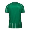 hummel SV Werder Bremen Home Jersey 2025/2026 Green, M Men