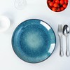 YALONG Dinner Plates Set of 6, 10 Inch Ceramic Plates