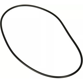 Zodiac R0446300 Backplate O-Ring, Jandy Pool and Spa Pumps