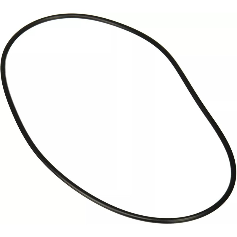 Zodiac R0446300 Backplate O-Ring, Jandy Pool and Spa Pumps