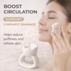 Ceramic Gua Sha Facial Tools, Ergonomic Grip Gua Sha Ring