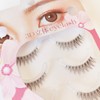 CLEAREYELASH Natural 3D 3D Matsueku False Eyelashes 3 Pairs (S03