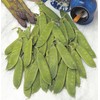 Mr Fothergills - Vegetable - RHS Pea (Mangetout) Delikata -