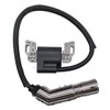 Rebuiman 595304 Ignition Coil Armature Magneto Fit for 799650 592841