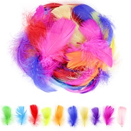 Fidqiog 200 Pieces Feather for Crafts, Colorful Feathers, Natural Goose Feather Craft Supplies, Soft Feather DIY, Handicrafts, Dream Catcher, Wedding Decorations Etc