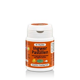 Ingwer Pastillen Dr. Muches | Zum Lutschen oder Kauen | Ingwer-Kick für Zwischendurch | Vegan und in Bio-Qualität | 1x27 gr