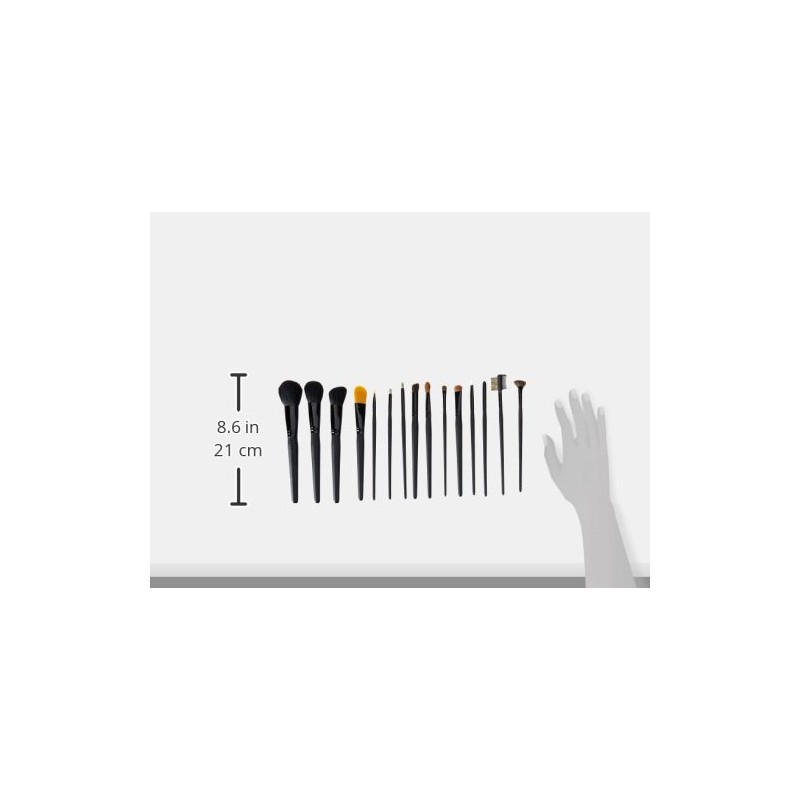 Crown Brush 15 piezas Pro con estuche de diseño, color