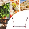 Hummingbird Feeder - Hummingbird Feeder Cups - Leak-Proof Parrot Drinking
