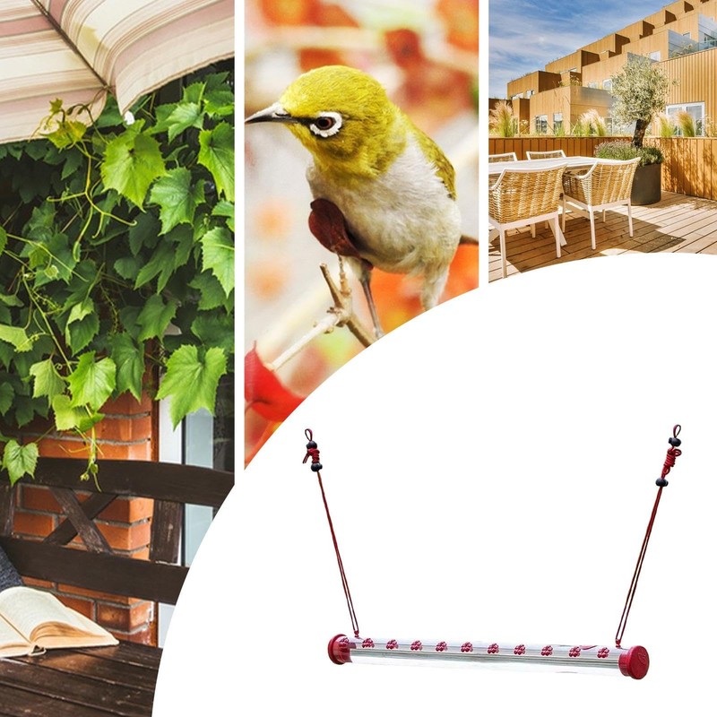 Hummingbird Feeder - Hummingbird Feeder Cups - Leak-Proof Parrot Drinking