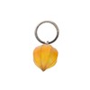 Wildlife Garden Keyring Physalis