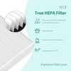 TOMORAL G3 / A3 Replacement Filter Compatible with AMEIFU G3