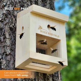 Carpenter Bee Traps for Outside - Carpenter Bee Patrol Trap B1 - Slanted Roof - Wood Bee Traps - Carpenter Bee Trap (1 Pack)