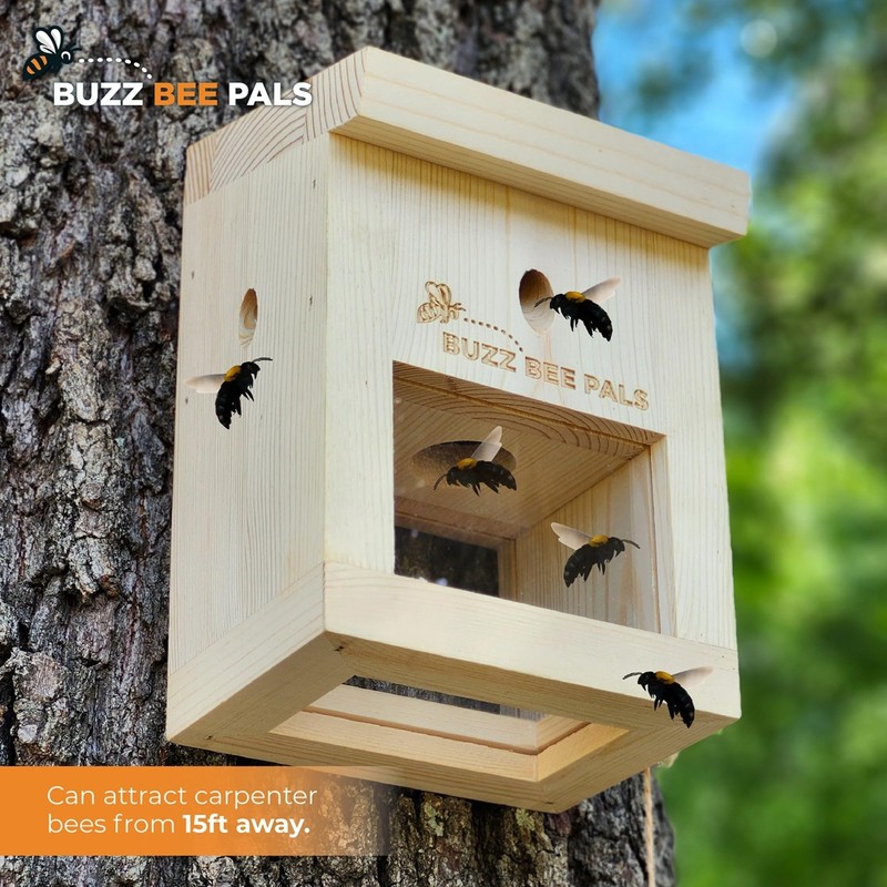 Carpenter Bee Traps for Outside - Carpenter Bee Patrol Trap