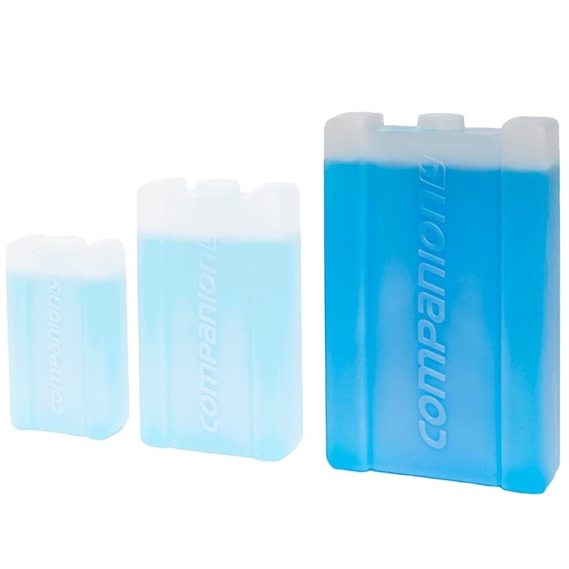 Companion Ice Brick, Large, 750 ml