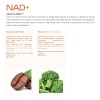 NAD+ 200 capsulas (1300mg por porcion) con Trimethylglycine y Acido