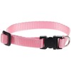 LupinePet Basics 1/2" Pink Adjustable Dog Collar 8-12" for Small