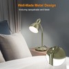 LEPOWER Metal Desk Lamp, Adjustable Goose Neck Table Lamp, Eye-Caring