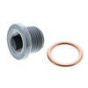 VAICO V46-0422 Locking Screw, Tub
