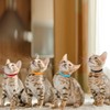 12pcs Puppy ID Collars,Double-Sided Soft Adjustable Identification Pet Collar,Puppy ID