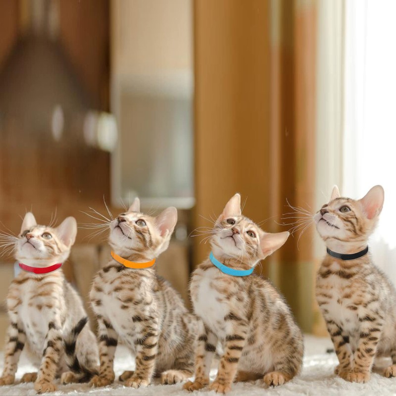 12pcs Puppy ID Collars,Double-Sided Soft Adjustable Identification Pet Collar,Puppy ID