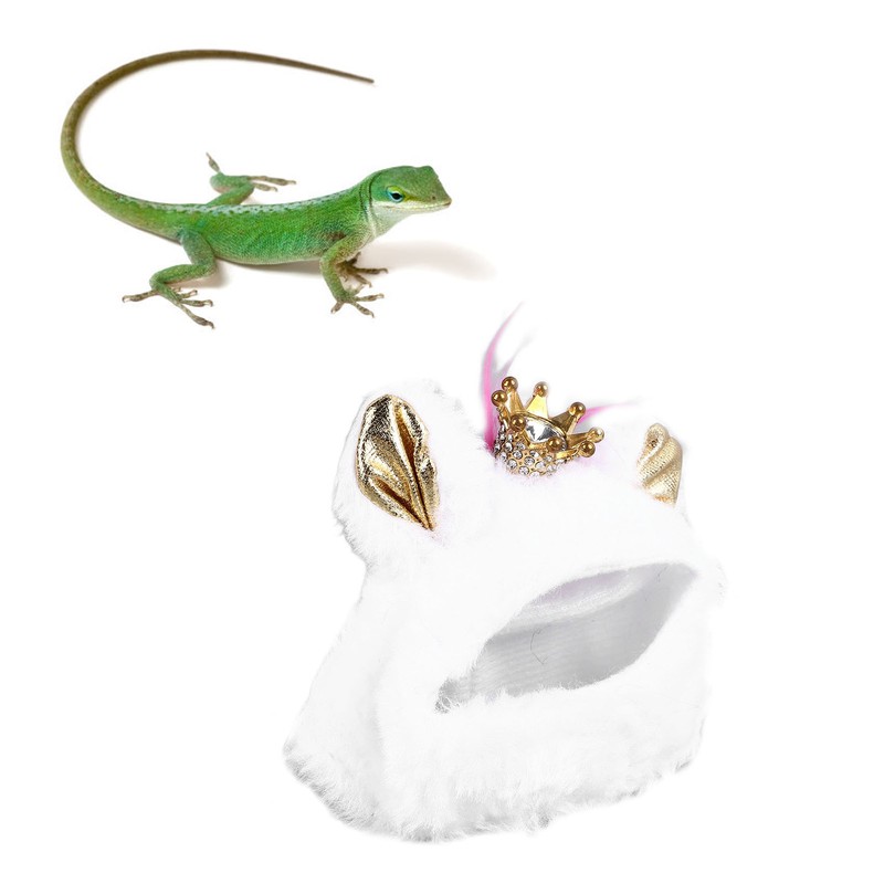 Pet Lizard Hat Soft Cotton Comfortable Attractive Pet Reptile Costume